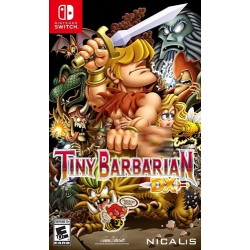 Tiny Barbarian DX