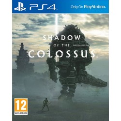 کارکرده Shadow of Colossus PS4